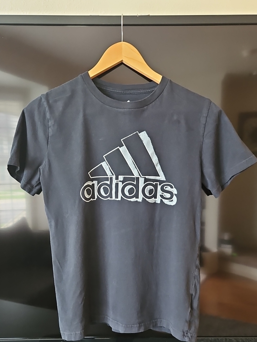adidas Graphic Short Sleeve Tee in Gray